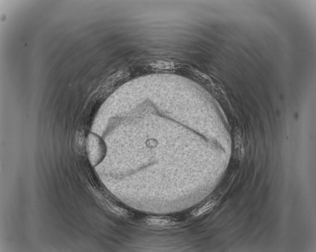 X0000086300614200704271828