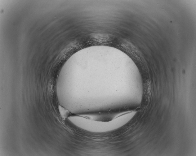 X0000086300615200704271828