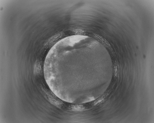 X0000086300618200704271828