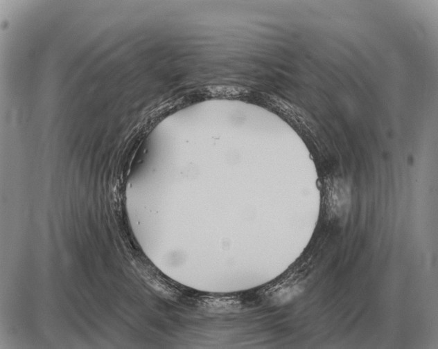 X0000086300619200704271828