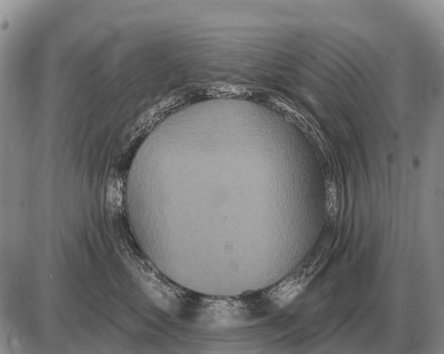 X0000086300621200704271828