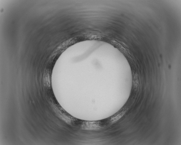 X0000086300622200704271828