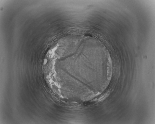 X0000086300624200704271828