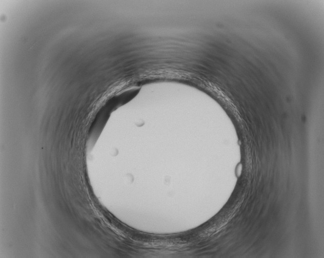 X0000086300625200704271828