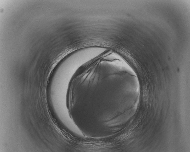 X0000086300626200704271828