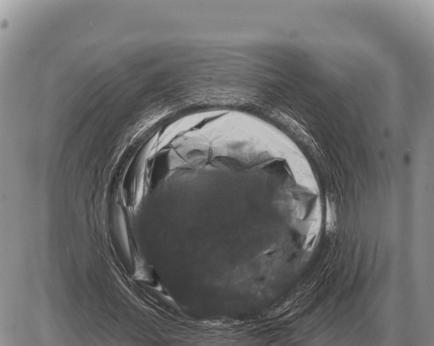 X0000086300627200704271828