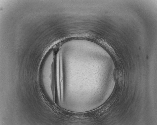 X0000086300628200704271828