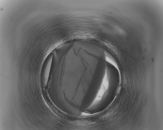 X0000086300630200704271828