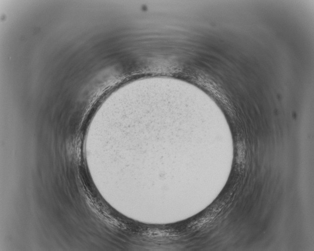 X0000086300632200704271828