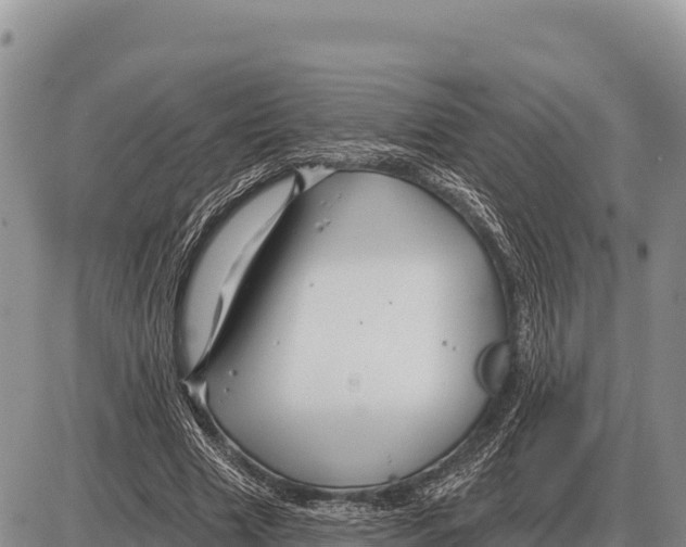 X0000086300633200704271828