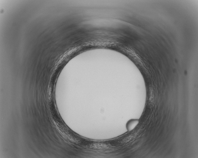 X0000086300636200704271828