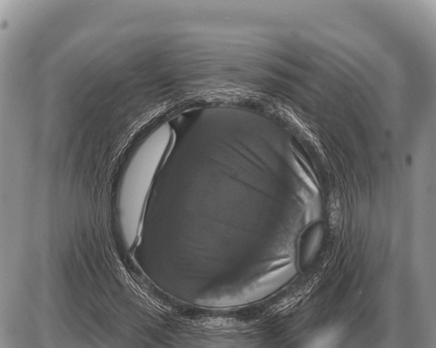 X0000086300637200704271828