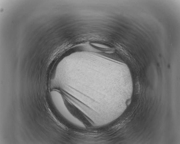 X0000086300638200704271828