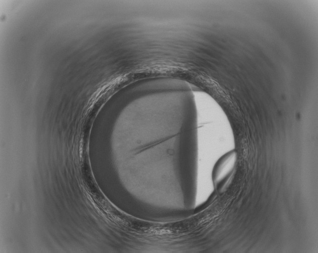 X0000086300640200704271828