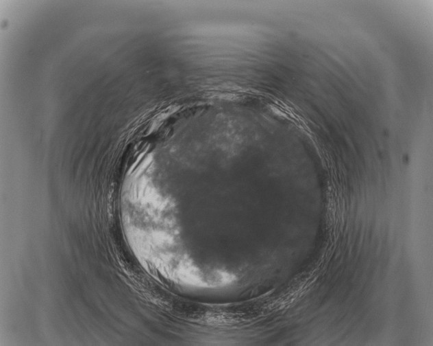 X0000086300641200704271828