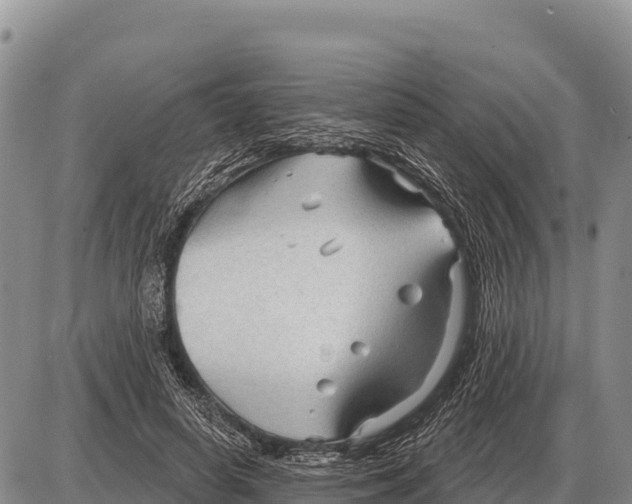 X0000086300642200704271828