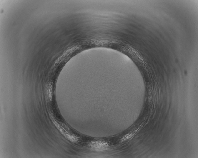 X0000086300644200704271828