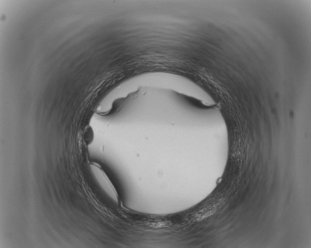 X0000086300646200704271828