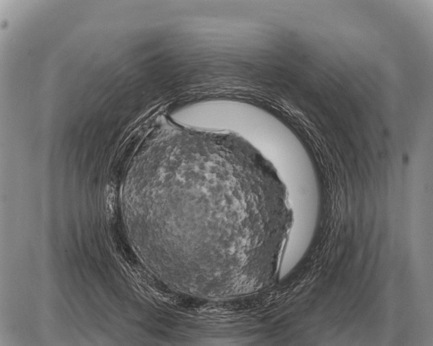 X0000086300648200704271828