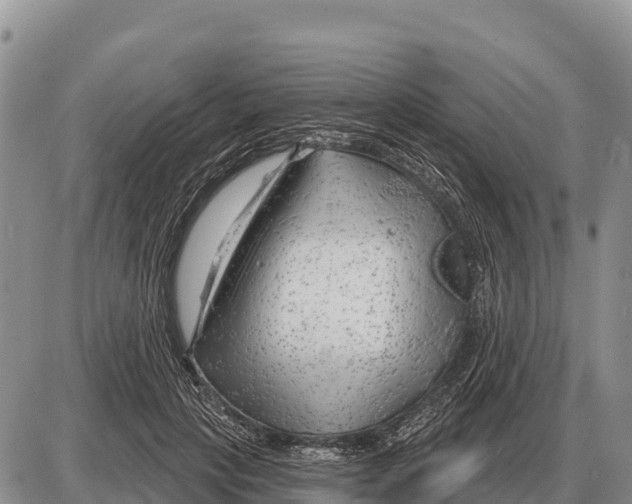 X0000086300649200704271828