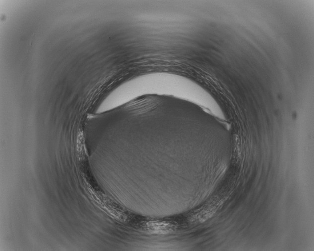 X0000086300650200704271828