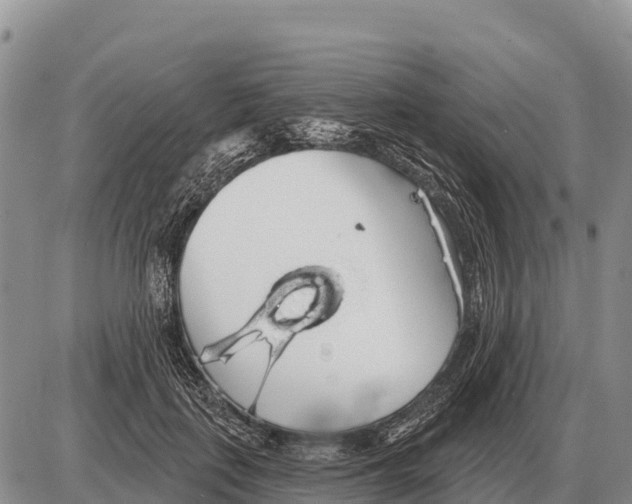 X0000086300651200704271828