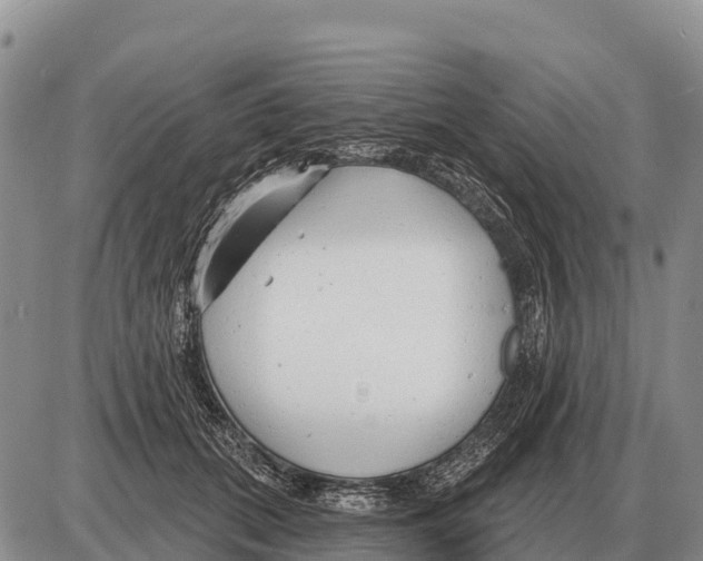 X0000086300655200704271828