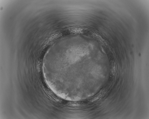 X0000086300658200704271828