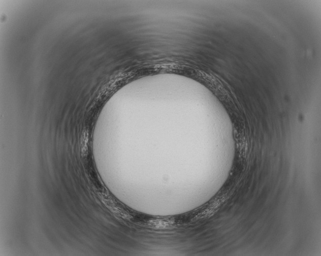 X0000086300660200704271828