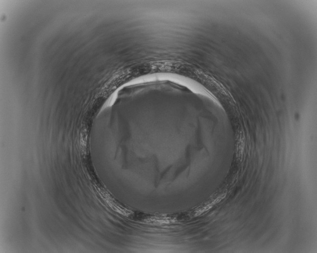 X0000086300661200704271828