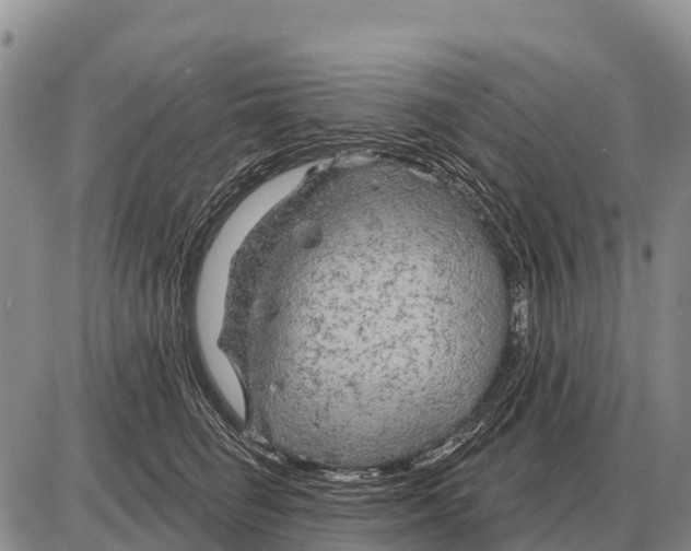 X0000086300662200704271828