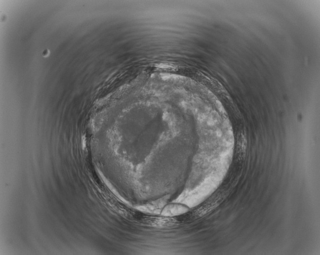 X0000086300663200704271828