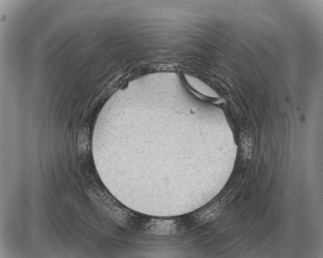 X0000086300665200704271828