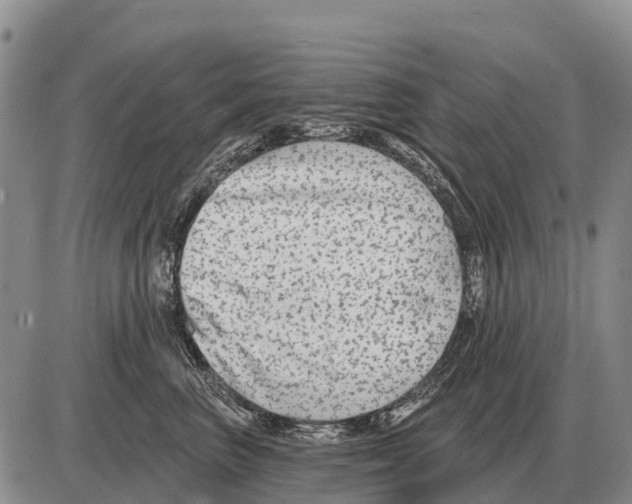 X0000086300667200704271828