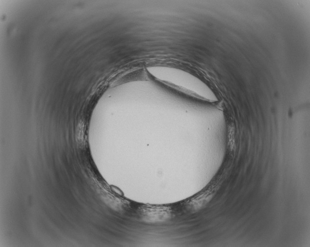 X0000086300670200704271828