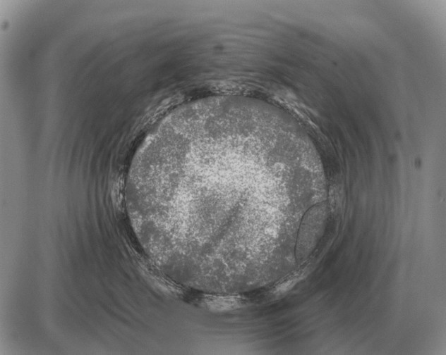 X0000086300671200704271828