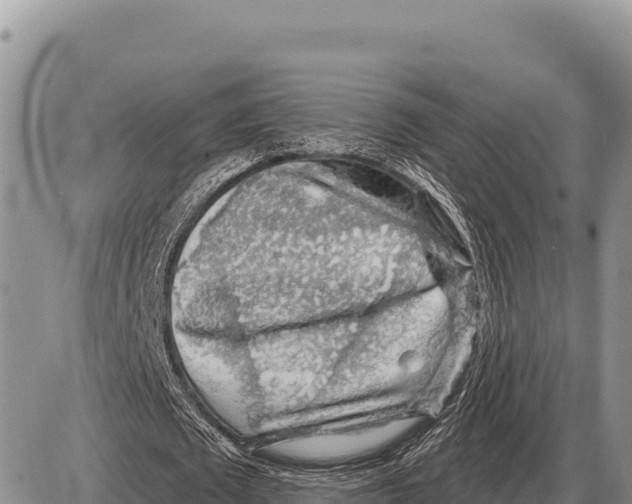 X0000086300673200704271828