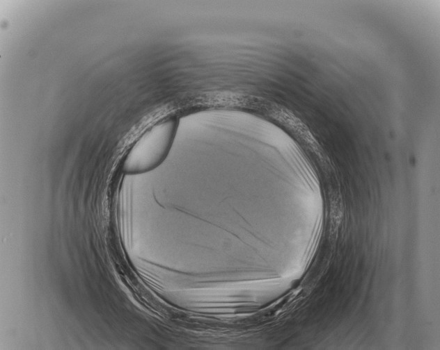 X0000086300674200704271828