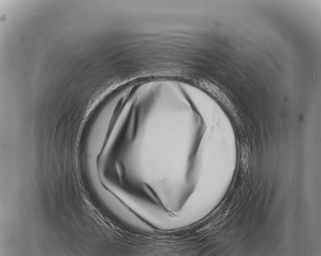 X0000086300676200704271827