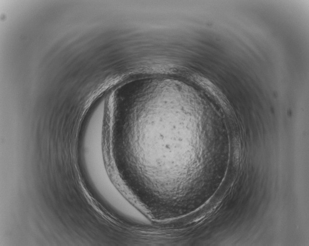 X0000086300677200704271827