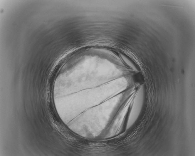 X0000086300680200704271827