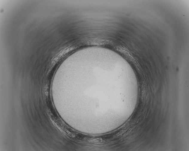 X0000086300683200704271827