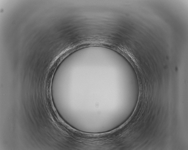 X0000086300684200704271827