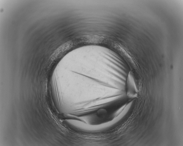 X0000086300685200704271827