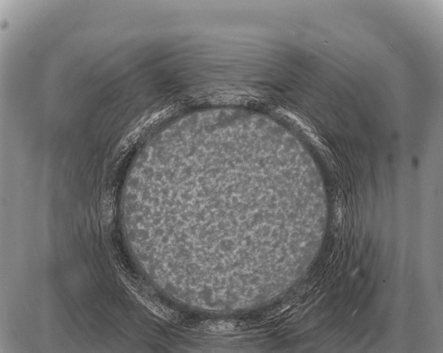 X0000086300687200704271827