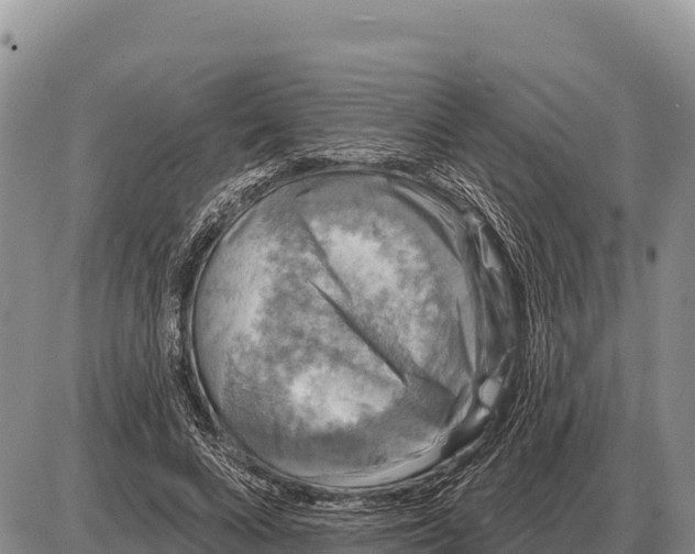 X0000086300688200704271827