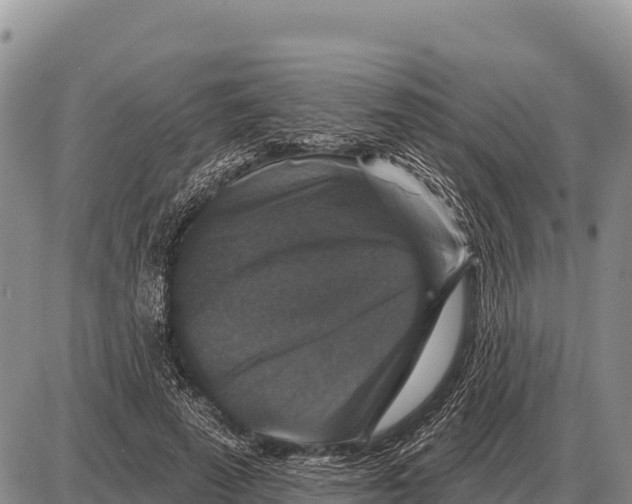 X0000086300689200704271827