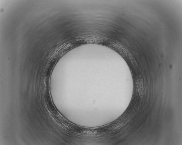 X0000086300690200704271827