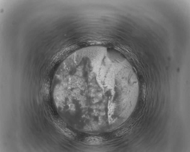 X0000086300691200704271827