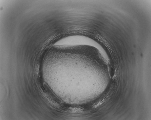 X0000086300693200704271827